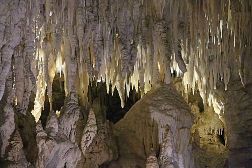 Waitomo Caves